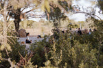 Load image into Gallery viewer, Maison Miraya’s La Dolce Vita Retreat in Puglia, Italy (Sept 16-19)
